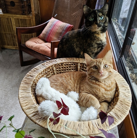 Meet your Posher, Jessica - Picture 9 of 13